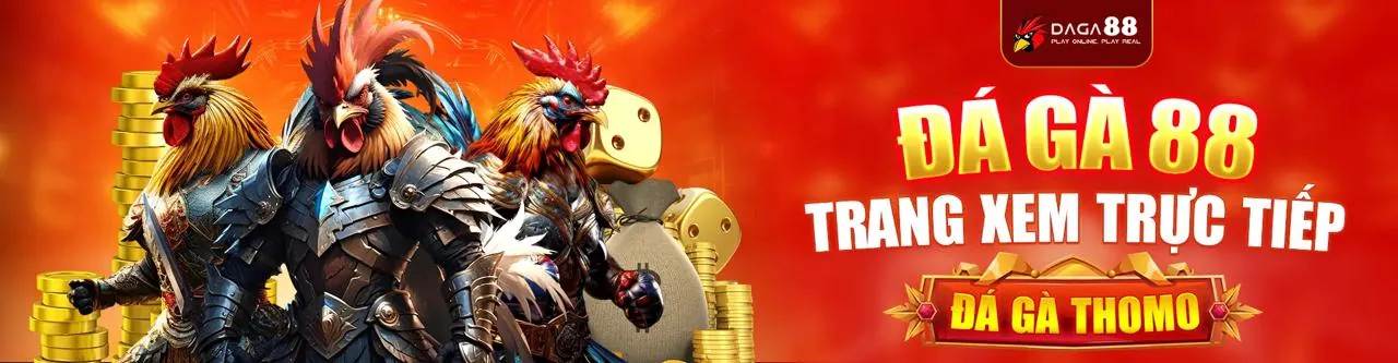 Tùy chọn quản lý cookie của người dùng